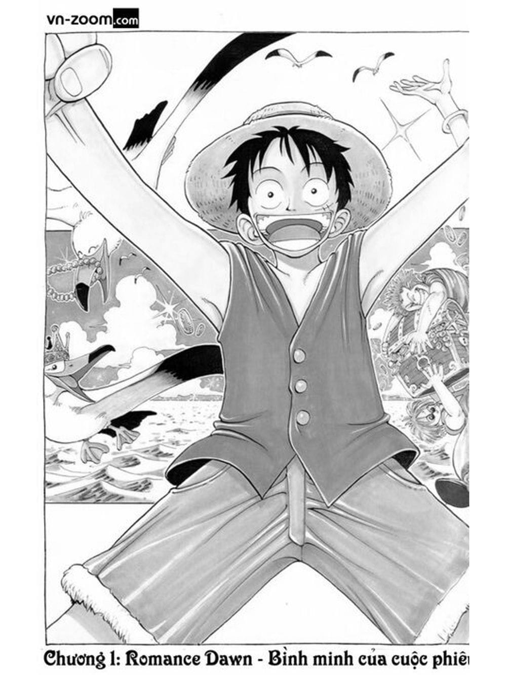 Truyện Tranh Đảo Hải Tặc - One Piece trang 4