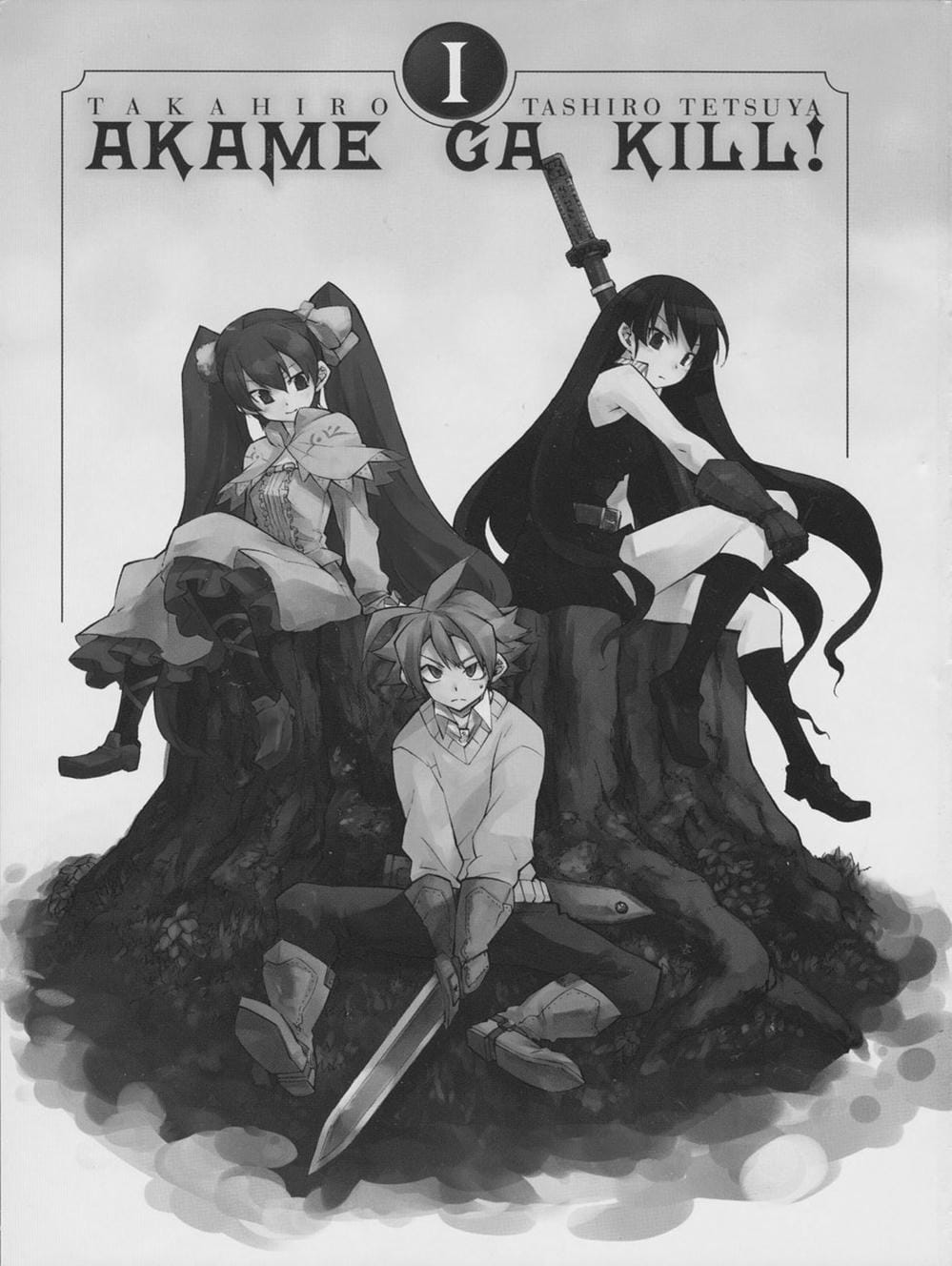Truyện Tranh Xích Nhãn Sát Thủ - Akame Ga Kill! trang 7