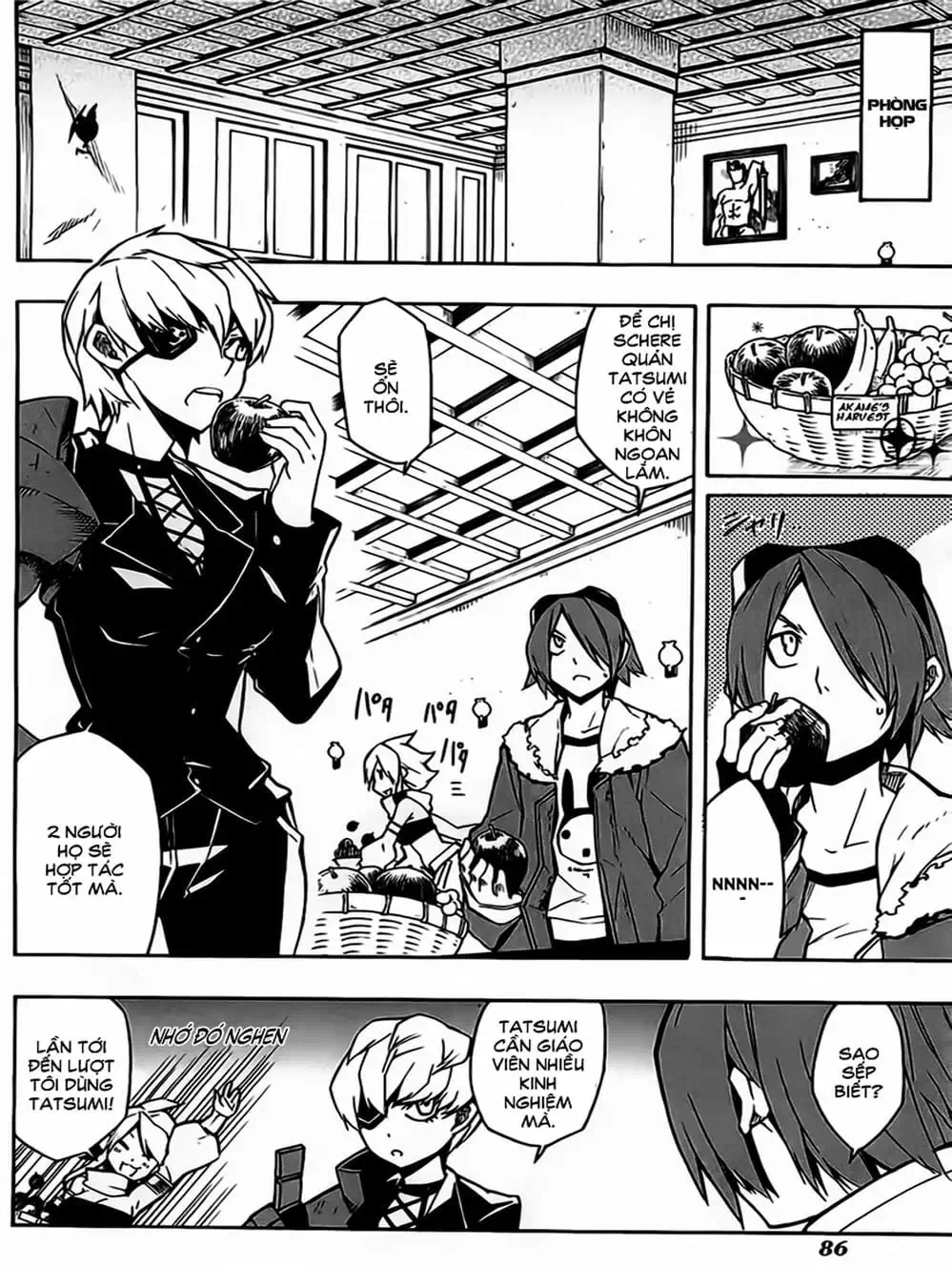 Truyện Tranh Xích Nhãn Sát Thủ - Akame Ga Kill! trang 7