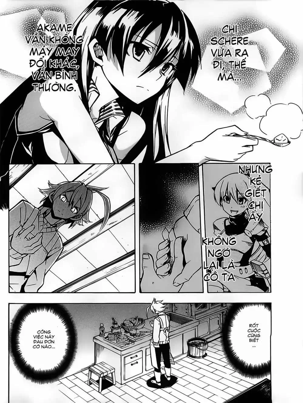 Truyện Tranh Xích Nhãn Sát Thủ - Akame Ga Kill! trang 7