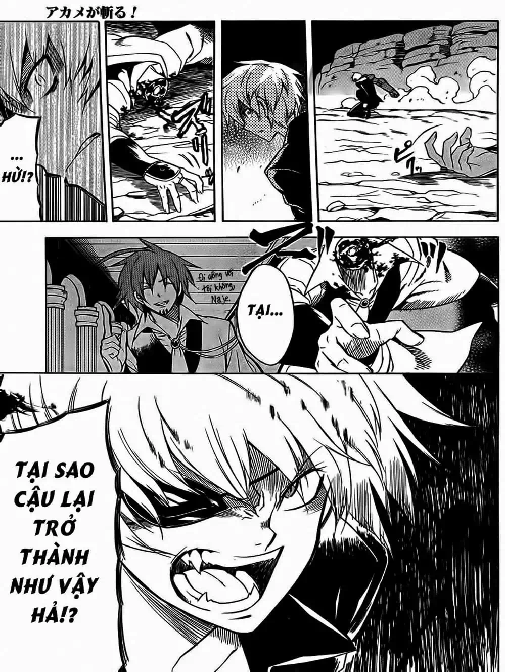 Truyện Tranh Xích Nhãn Sát Thủ - Akame Ga Kill! trang 7