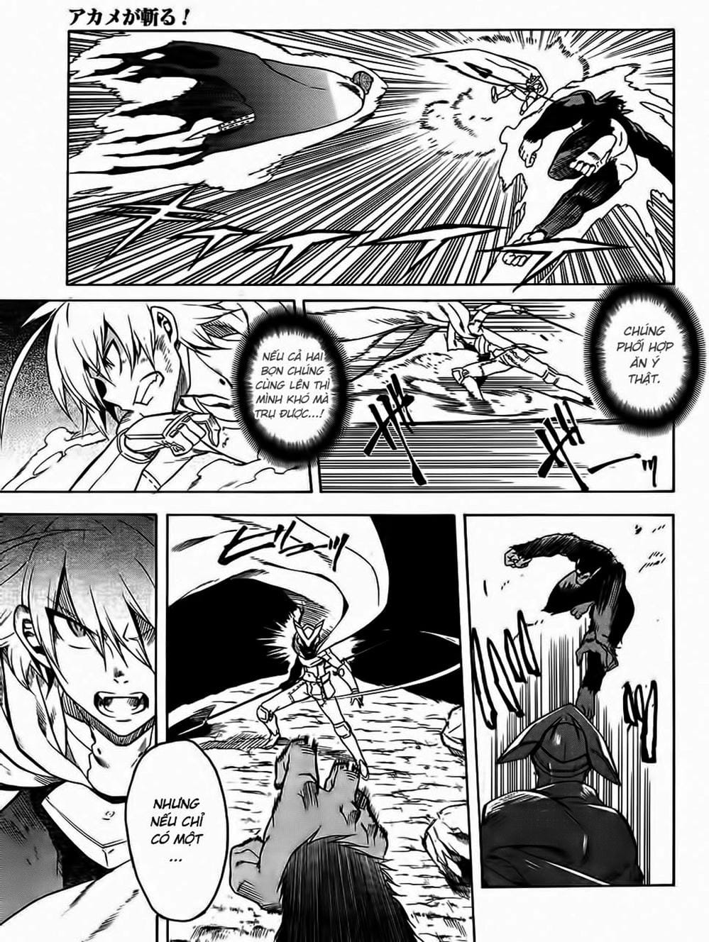 Truyện Tranh Xích Nhãn Sát Thủ - Akame Ga Kill! trang 7