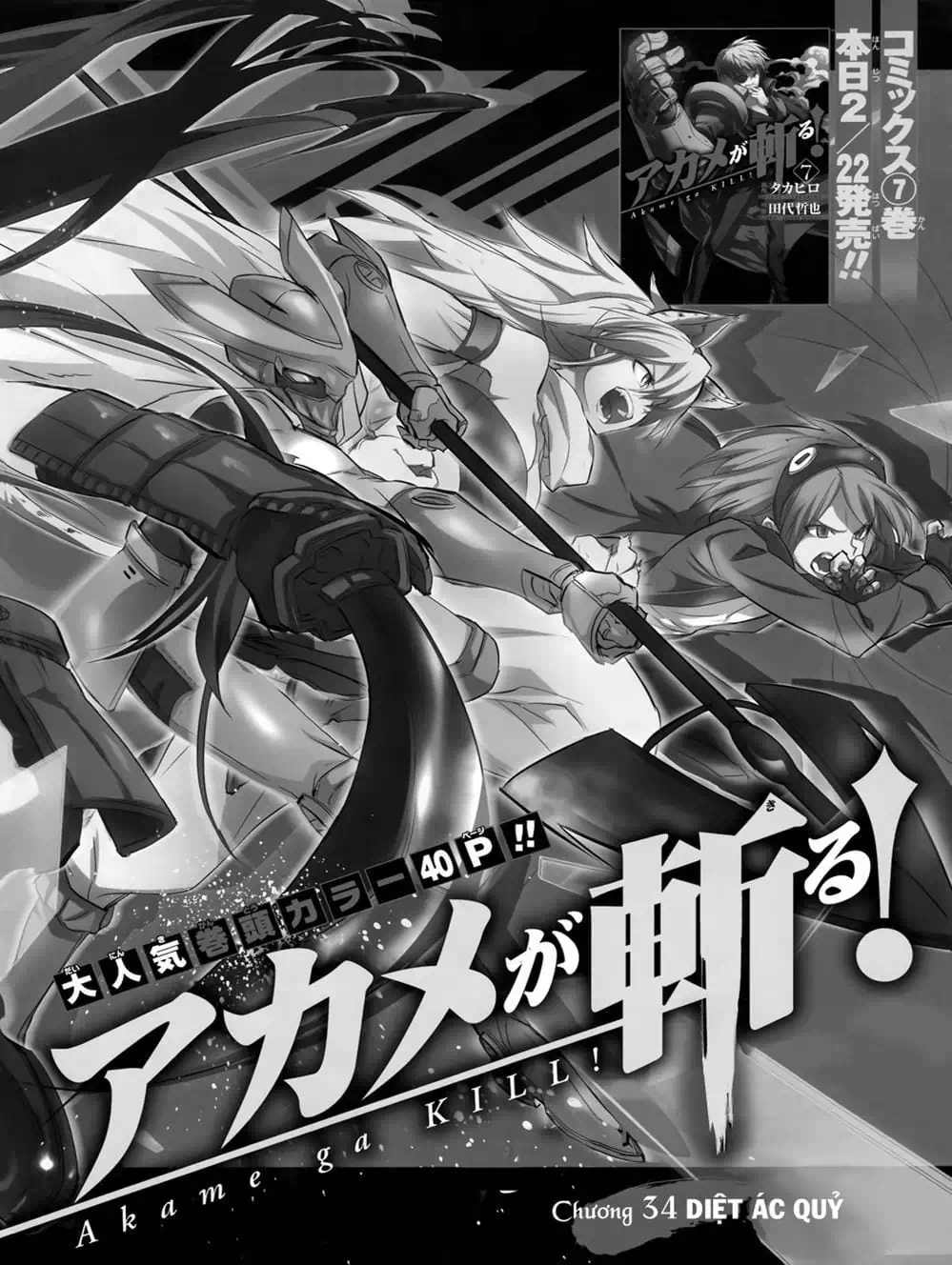 Truyện Tranh Xích Nhãn Sát Thủ - Akame Ga Kill! trang 7