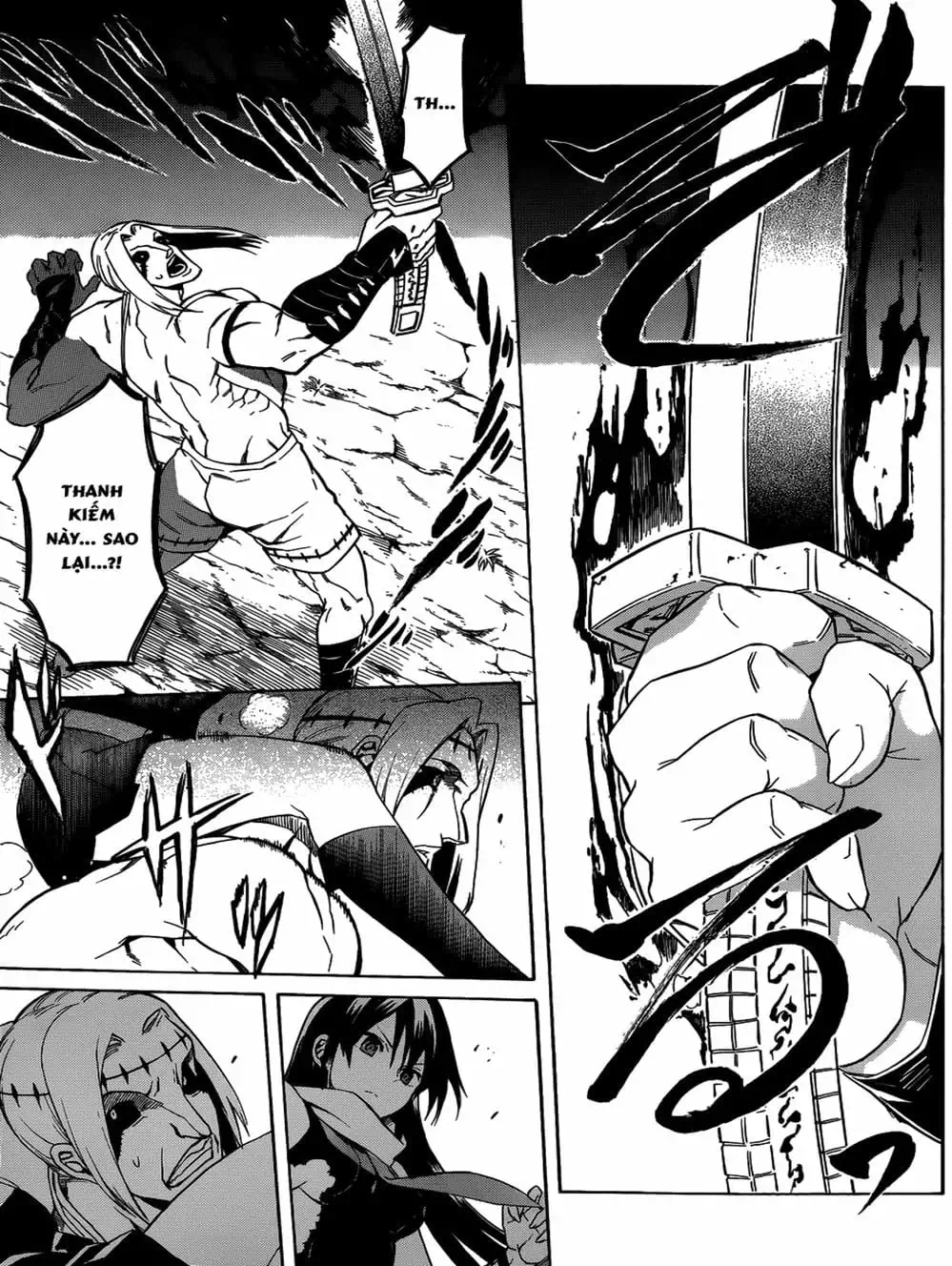 Truyện Tranh Xích Nhãn Sát Thủ - Akame Ga Kill! trang 7