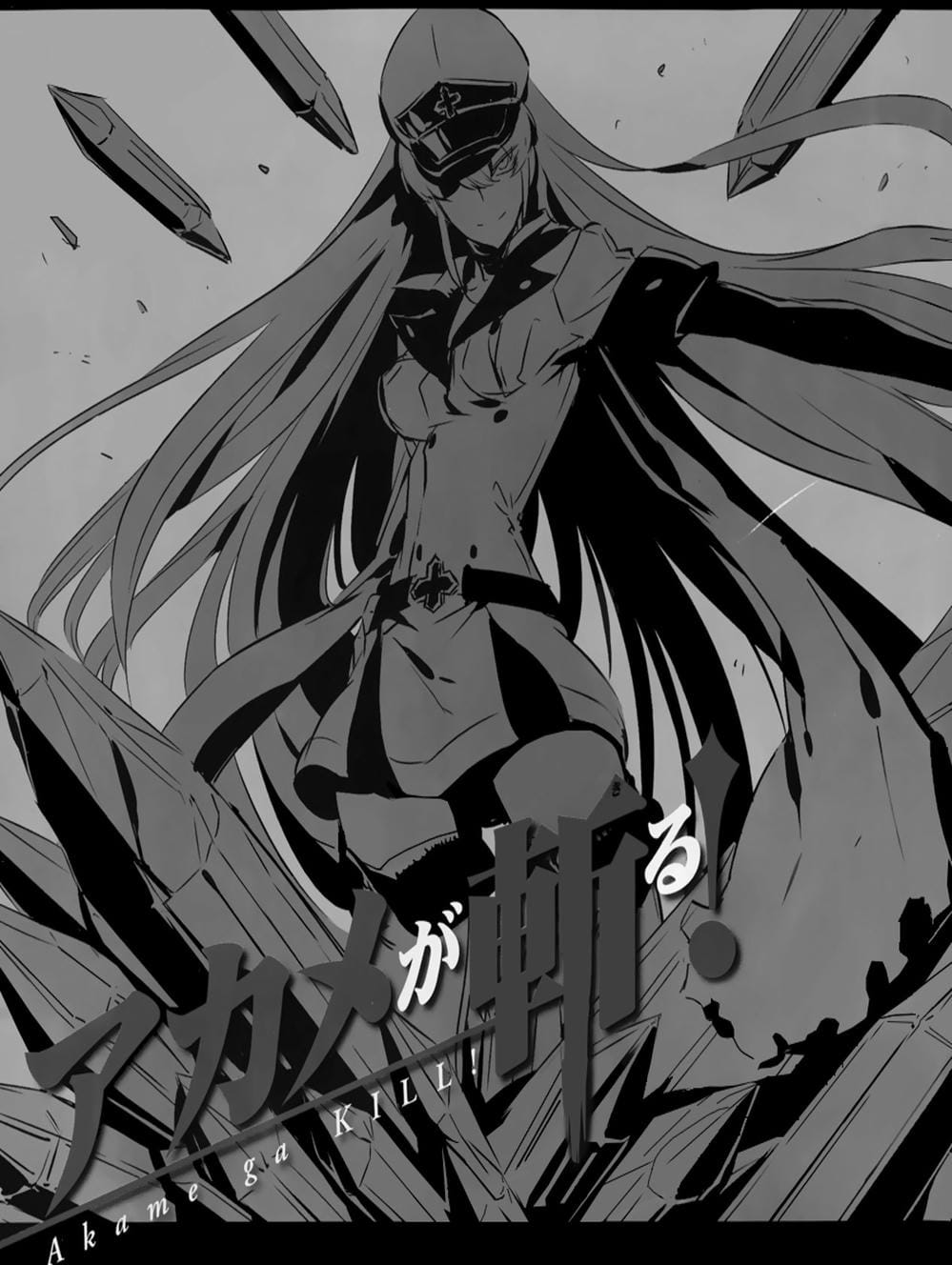 Truyện Tranh Xích Nhãn Sát Thủ - Akame Ga Kill! trang 7