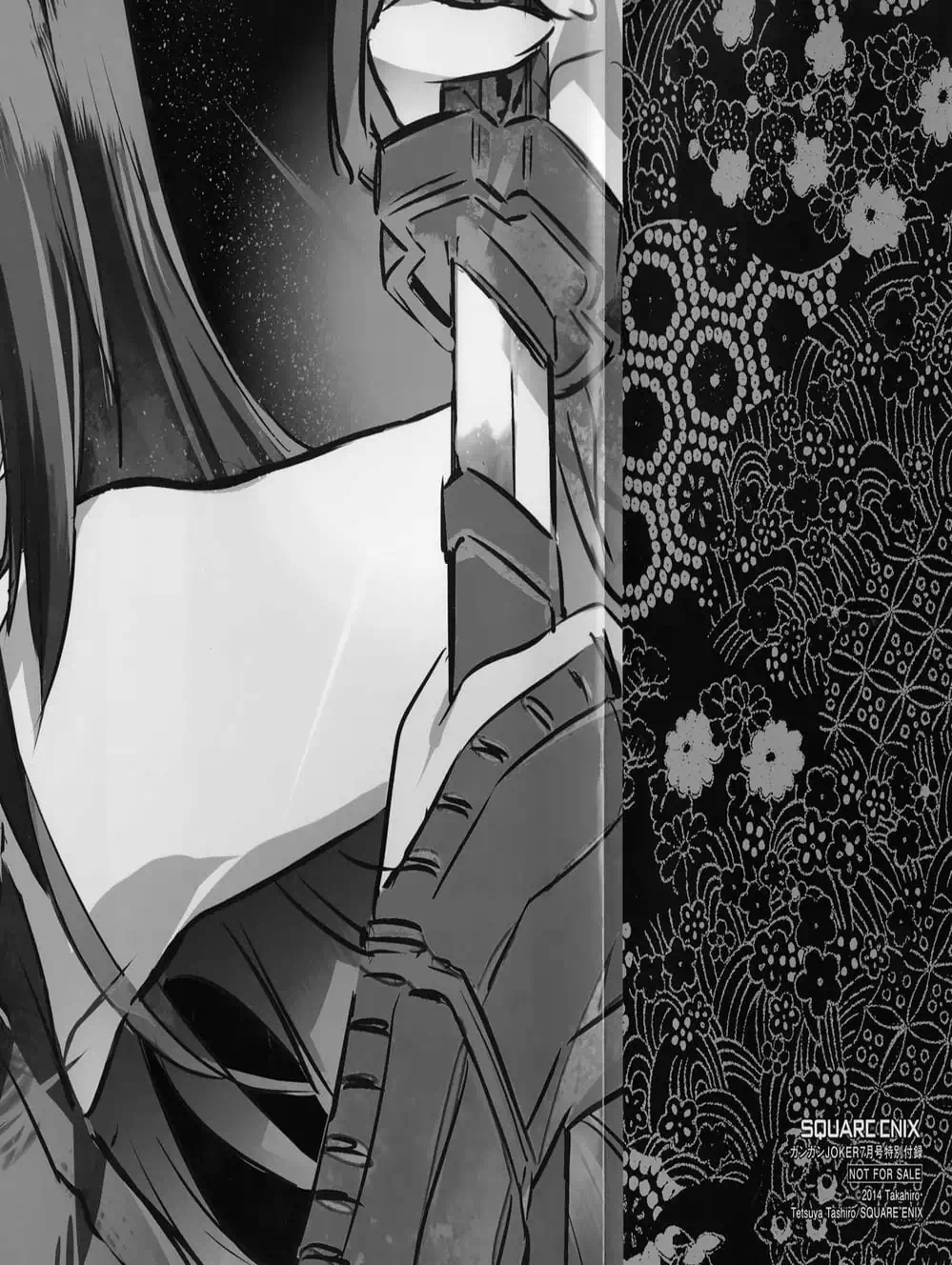 Truyện Tranh Xích Nhãn Sát Thủ - Akame Ga Kill! trang 7