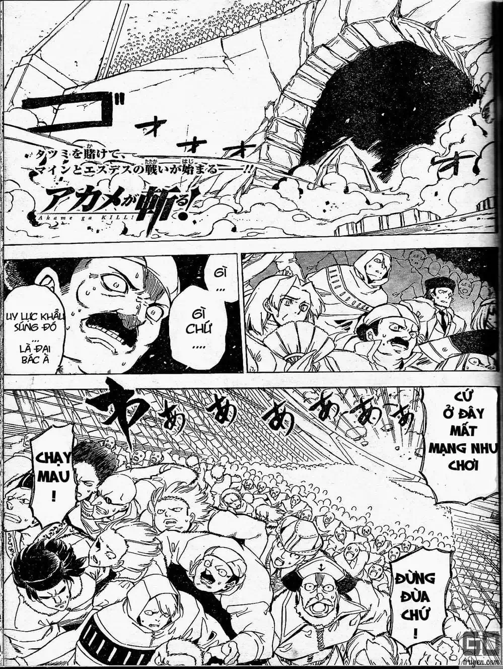 Truyện Tranh Xích Nhãn Sát Thủ - Akame Ga Kill! trang 7