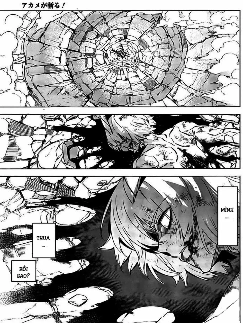 Truyện Tranh Xích Nhãn Sát Thủ - Akame Ga Kill! trang 7