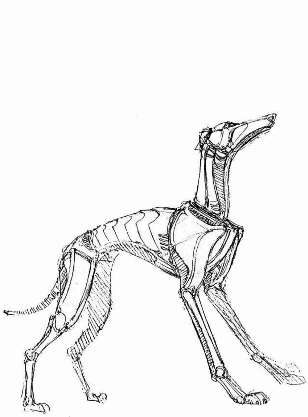 Truyện Tranh Alita: Thiên Thần Chiến Binh trang 6