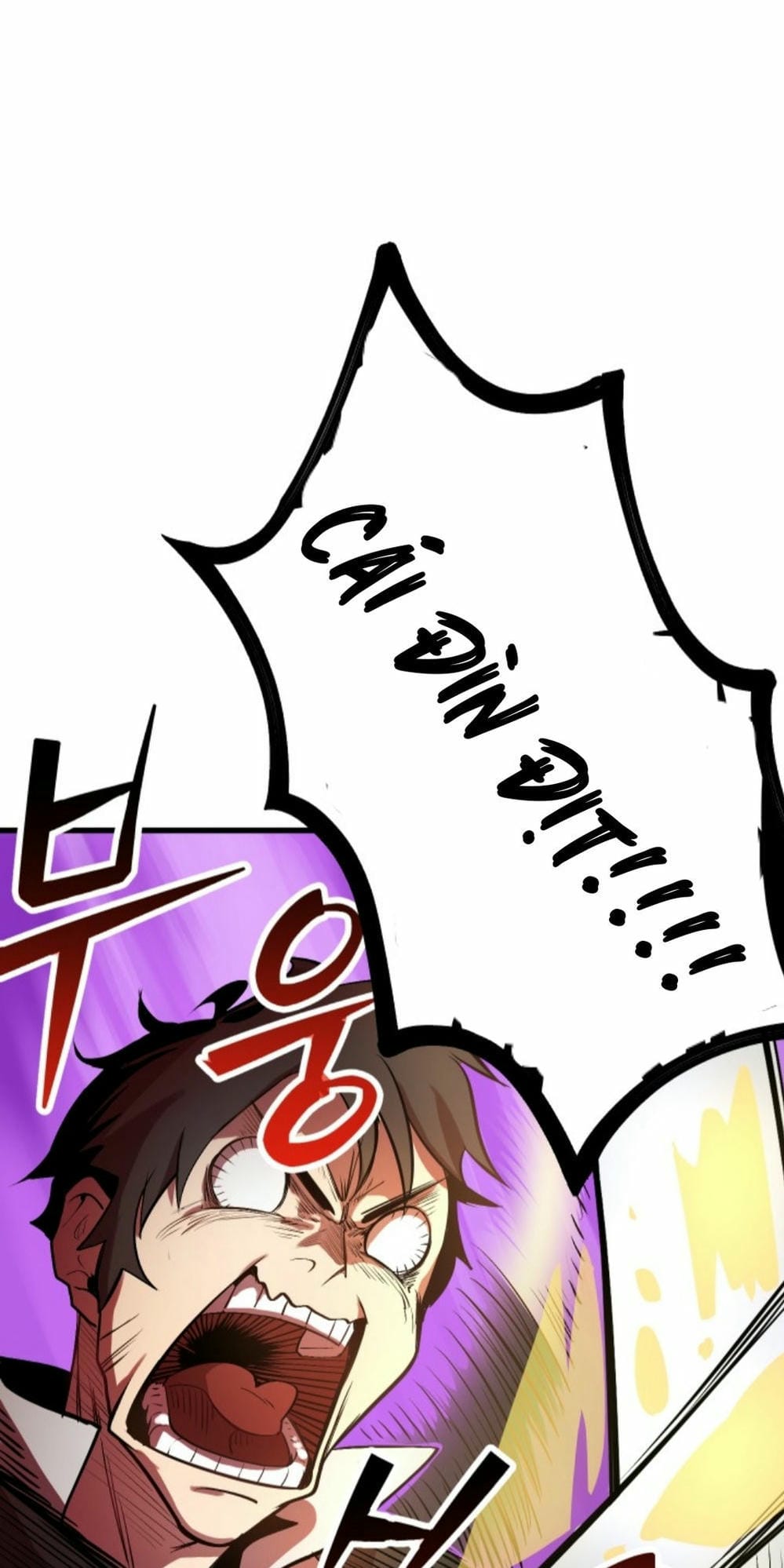 Truyện Tranh Anh Hùng Mạnh Nhất? Ta Không Làm Lâu Rồi! trang 5