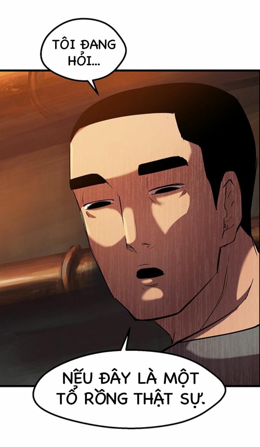 Truyện Tranh Anh Hùng Mạnh Nhất? Ta Không Làm Lâu Rồi! trang 5
