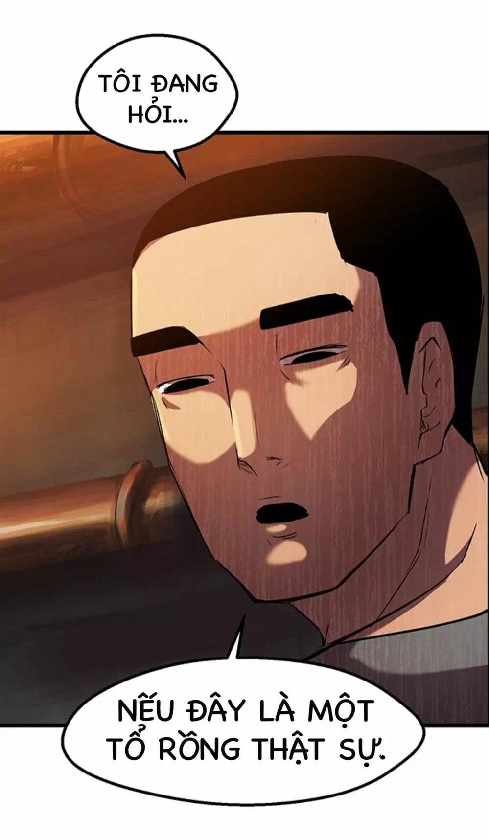 Truyện Tranh Anh Hùng Mạnh Nhất? Ta Không Làm Lâu Rồi! trang 5