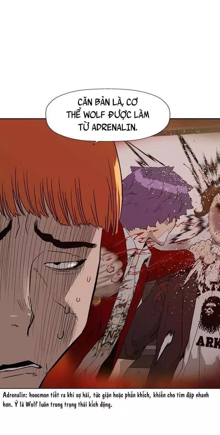 Truyện Tranh Anh Hùng Yếu - The Weakest Hero trang 5