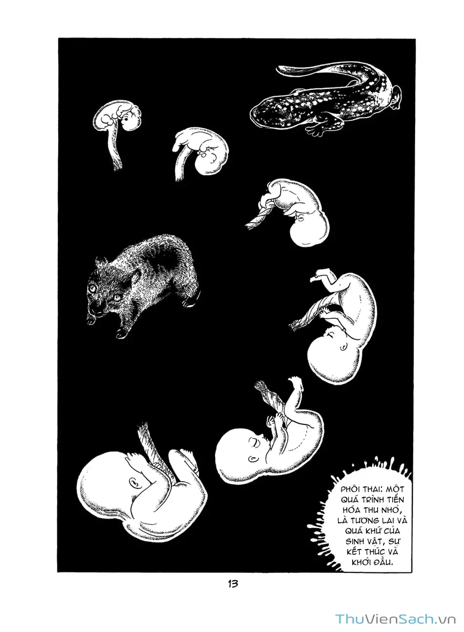 Truyện Tranh Bài Hát Của Apollo - Apollo’s Song trang 2