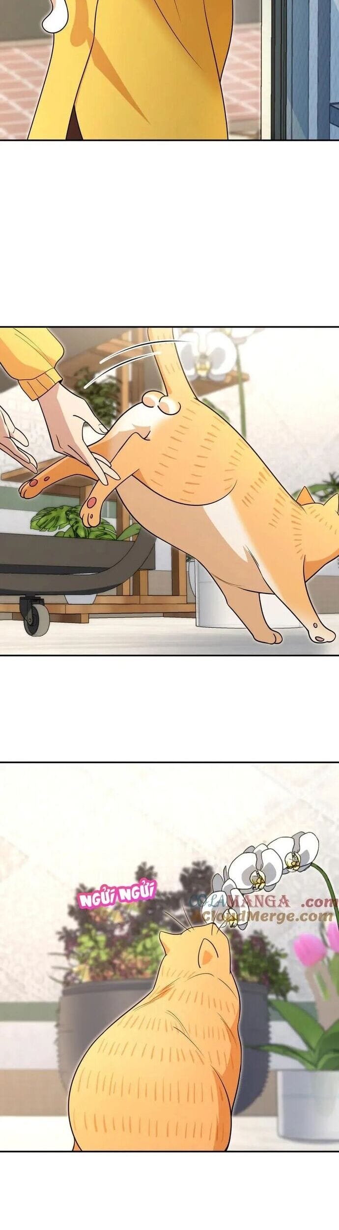 Truyện Tranh Bà Xã Nhà Tôi Đến Từ Ngàn Năm Trước trang 7