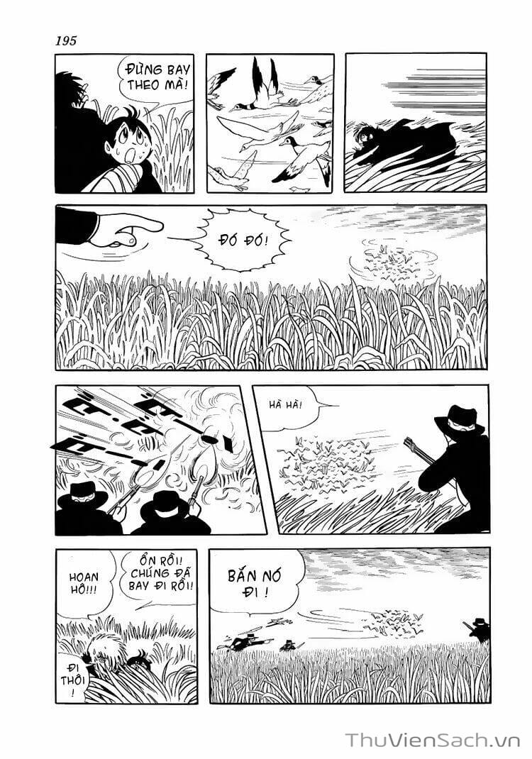 Truyện Tranh Bác Sĩ Quái Dị - Black Jack trang 3