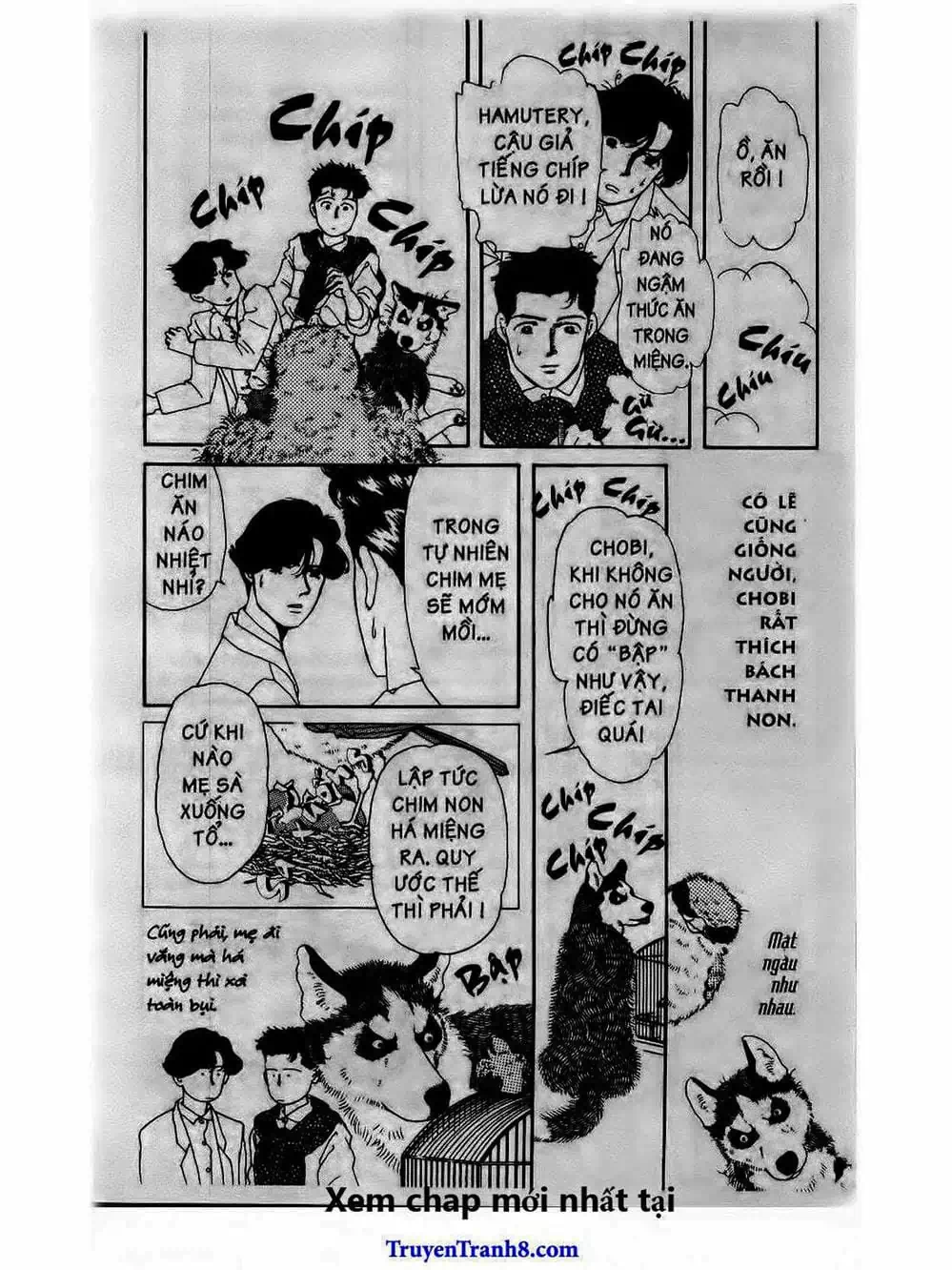 Truyện Tranh Bác Sĩ Thú Y - Doubutsu No Oisha-San trang 4