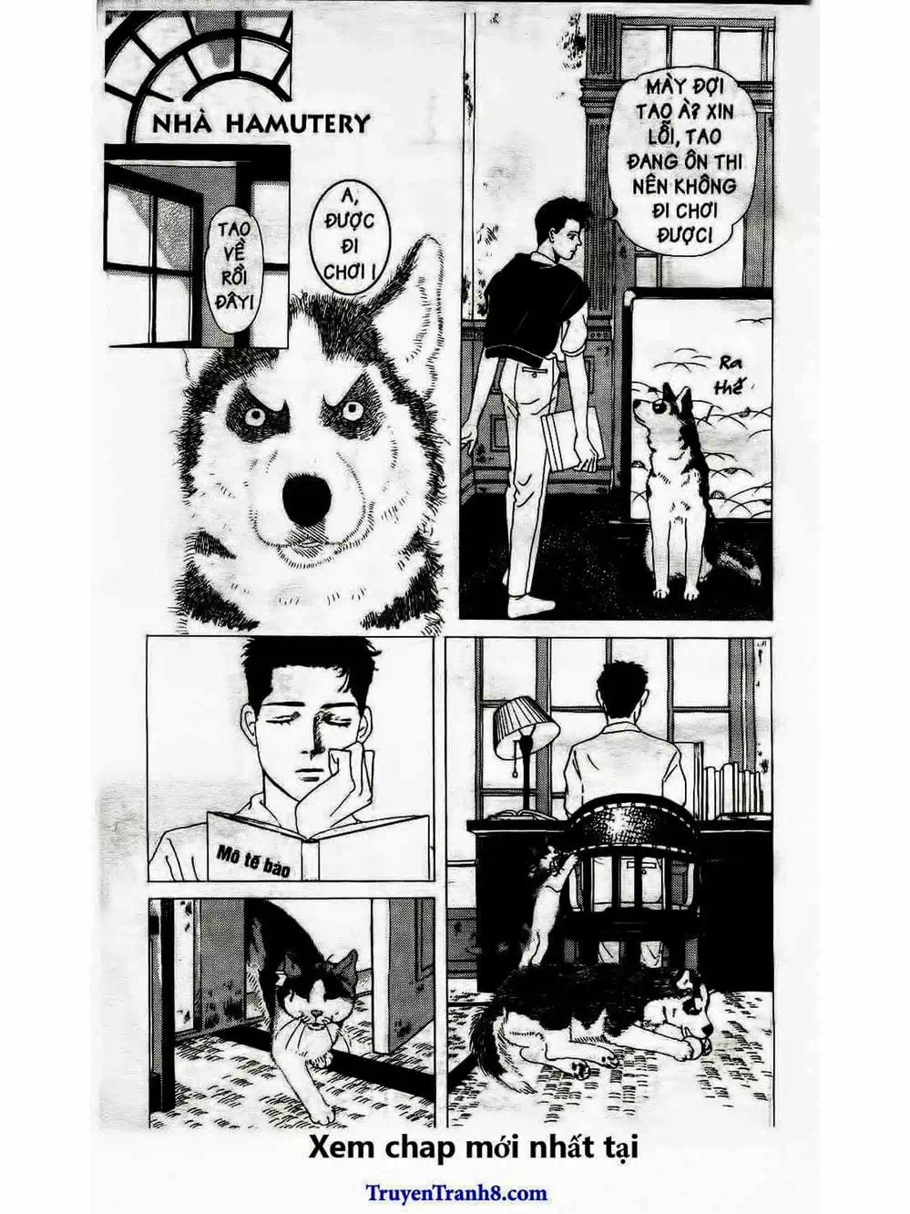 Truyện Tranh Bác Sĩ Thú Y - Doubutsu No Oisha-San trang 4