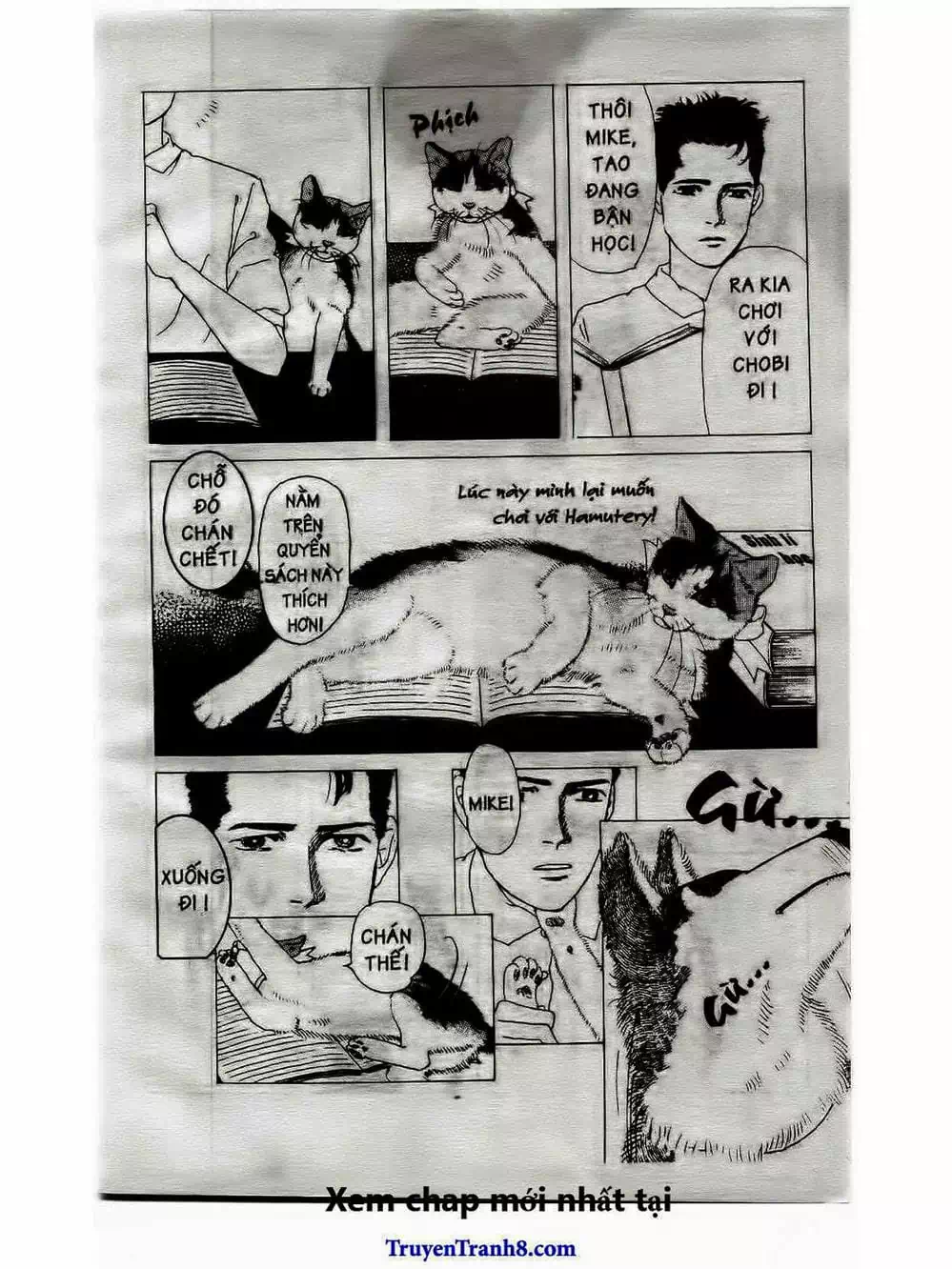 Truyện Tranh Bác Sĩ Thú Y - Doubutsu No Oisha-San trang 4