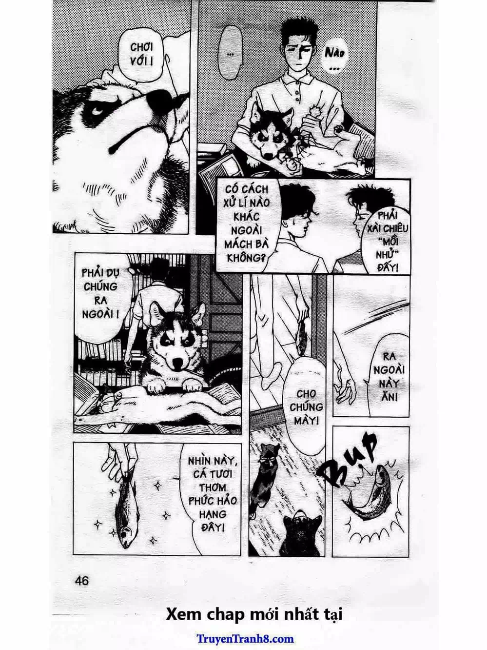 Truyện Tranh Bác Sĩ Thú Y - Doubutsu No Oisha-San trang 4