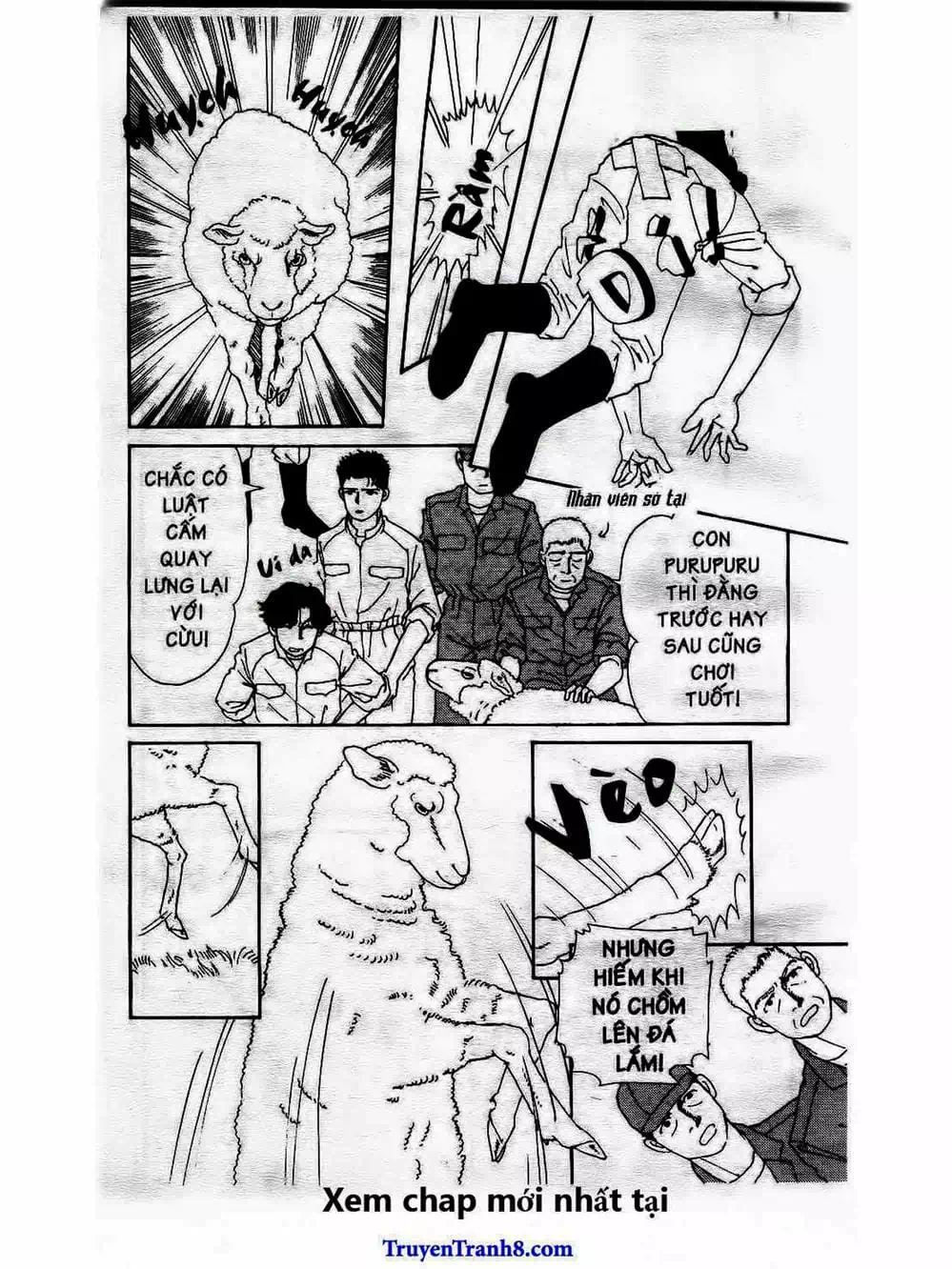 Truyện Tranh Bác Sĩ Thú Y - Doubutsu No Oisha-San trang 4