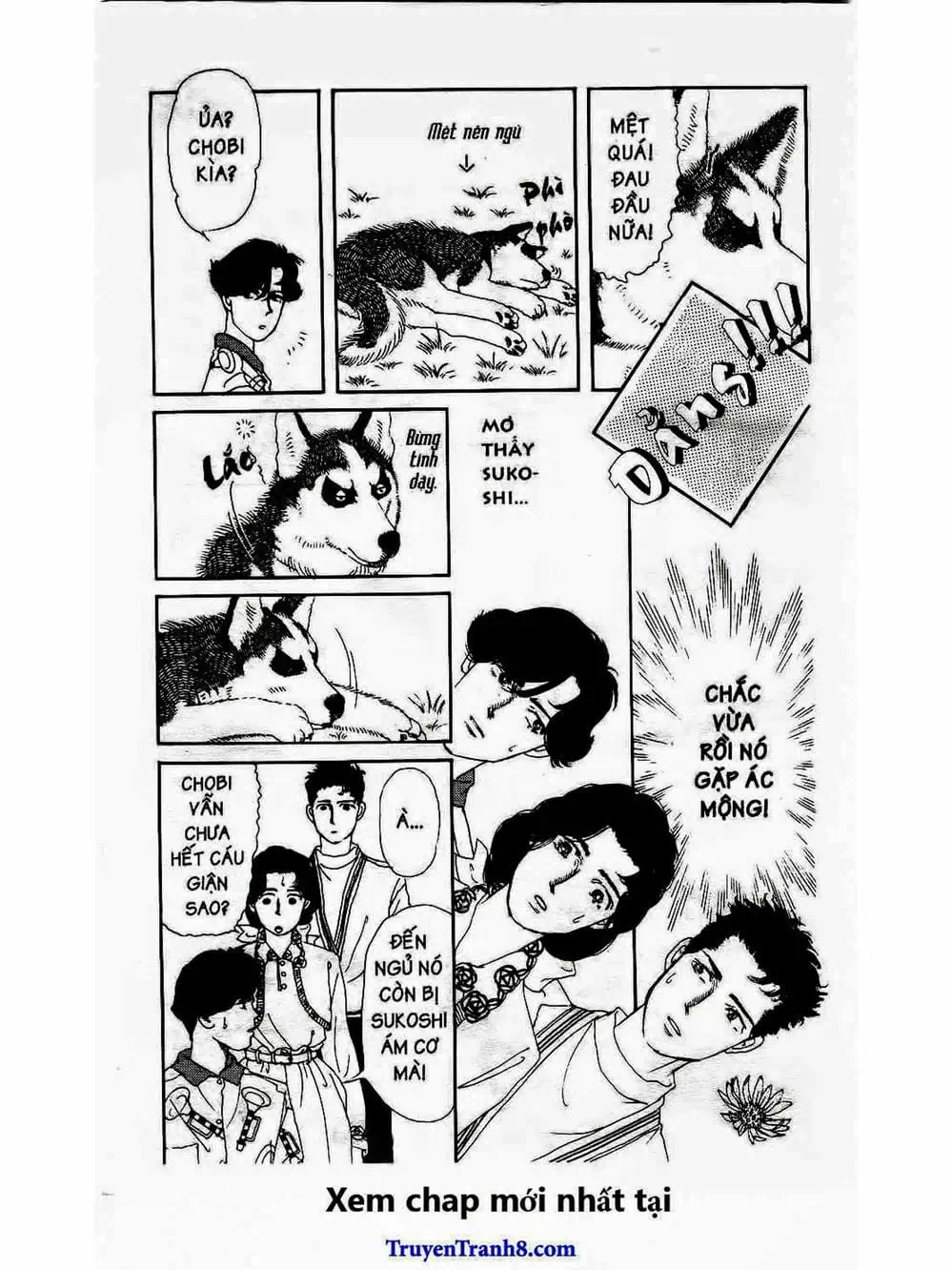 Truyện Tranh Bác Sĩ Thú Y - Doubutsu No Oisha-San trang 4