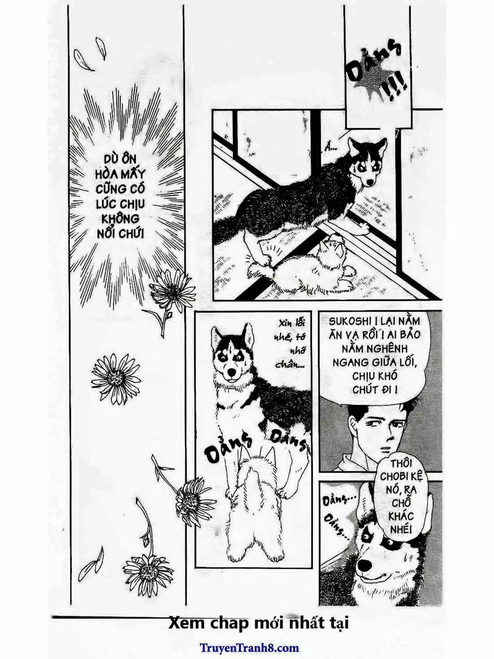 Truyện Tranh Bác Sĩ Thú Y - Doubutsu No Oisha-San trang 4