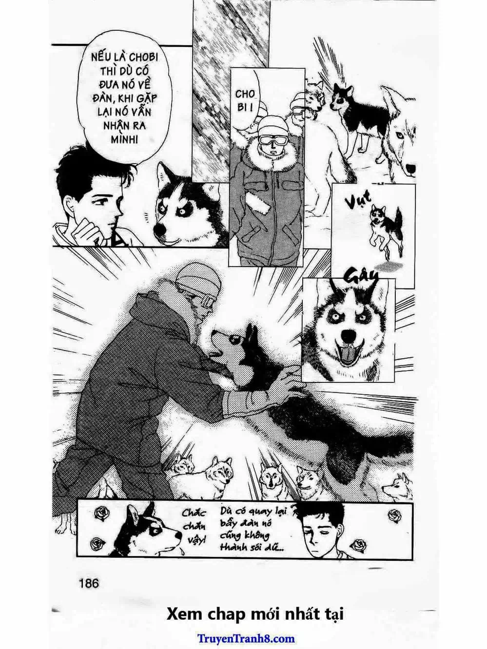 Truyện Tranh Bác Sĩ Thú Y - Doubutsu No Oisha-San trang 4