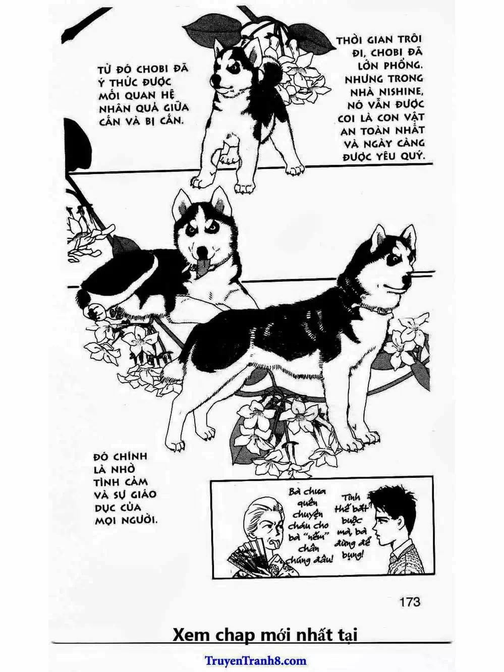 Truyện Tranh Bác Sĩ Thú Y - Doubutsu No Oisha-San trang 4