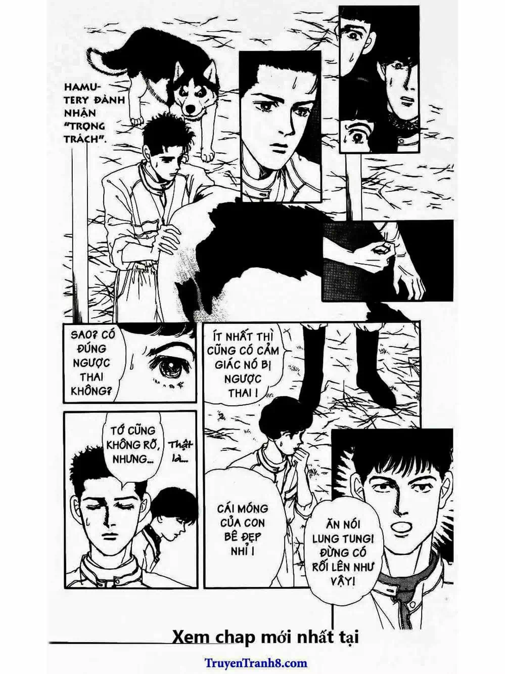 Truyện Tranh Bác Sĩ Thú Y - Doubutsu No Oisha-San trang 4