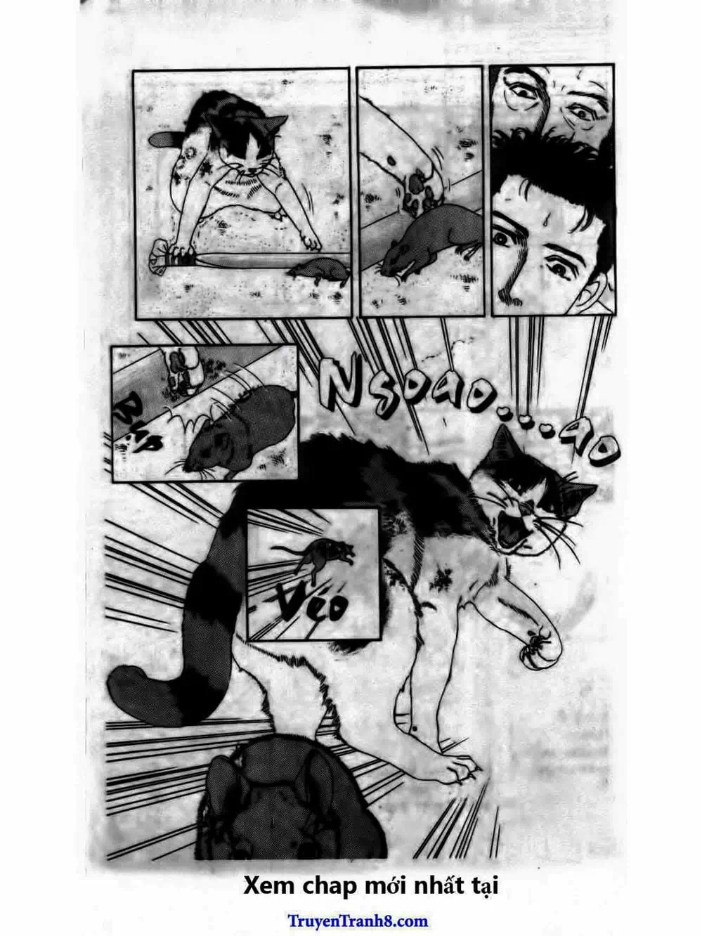 Truyện Tranh Bác Sĩ Thú Y - Doubutsu No Oisha-San trang 4