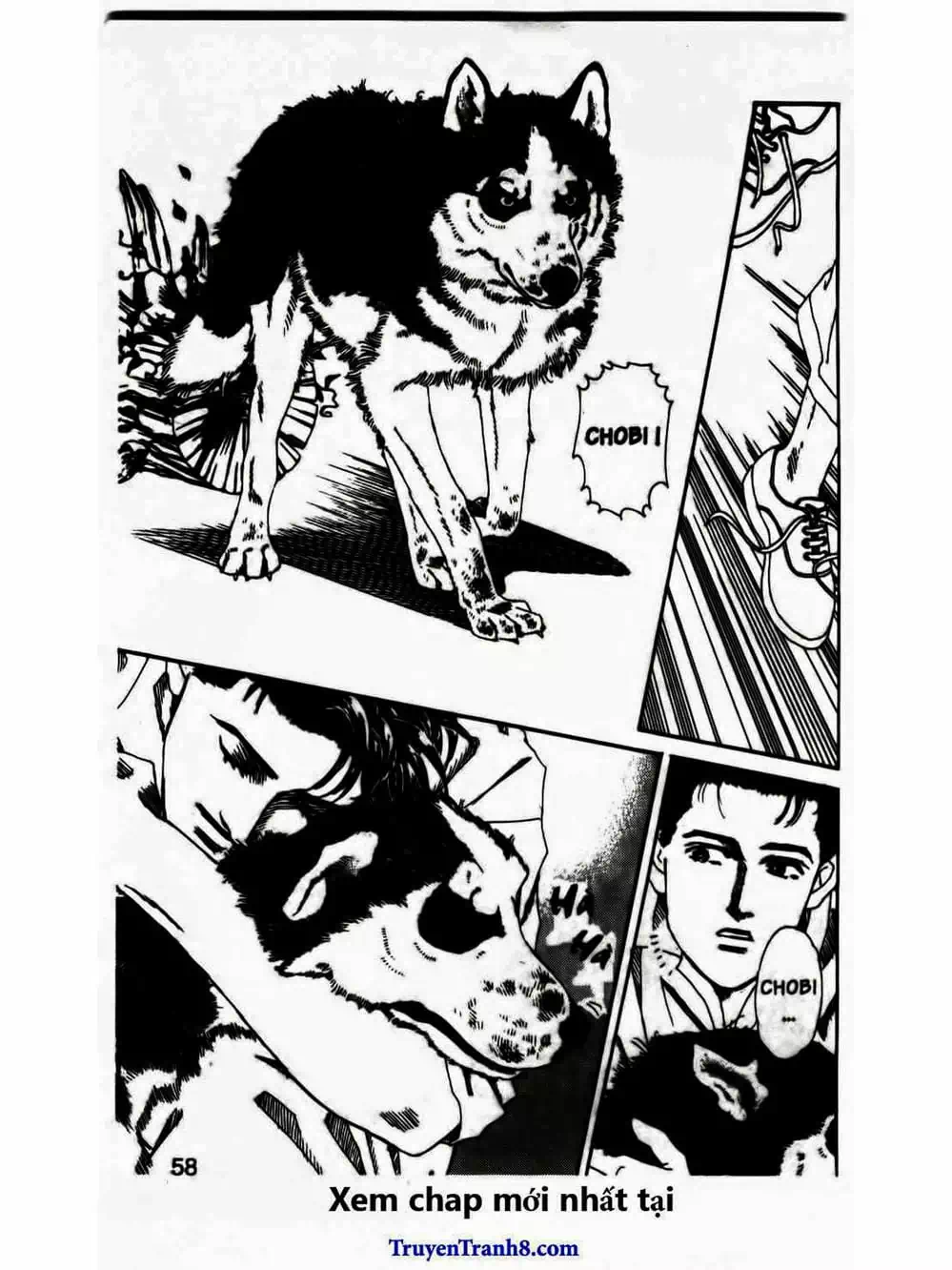 Truyện Tranh Bác Sĩ Thú Y - Doubutsu No Oisha-San trang 4