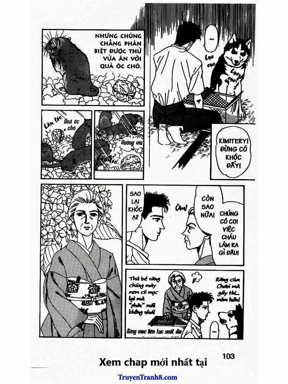 Truyện Tranh Bác Sĩ Thú Y - Doubutsu No Oisha-San trang 4