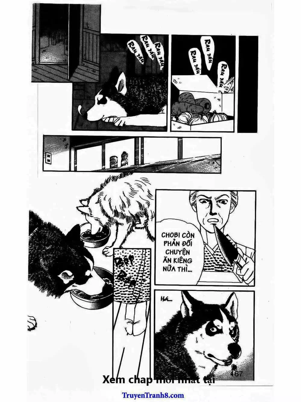 Truyện Tranh Bác Sĩ Thú Y - Doubutsu No Oisha-San trang 4