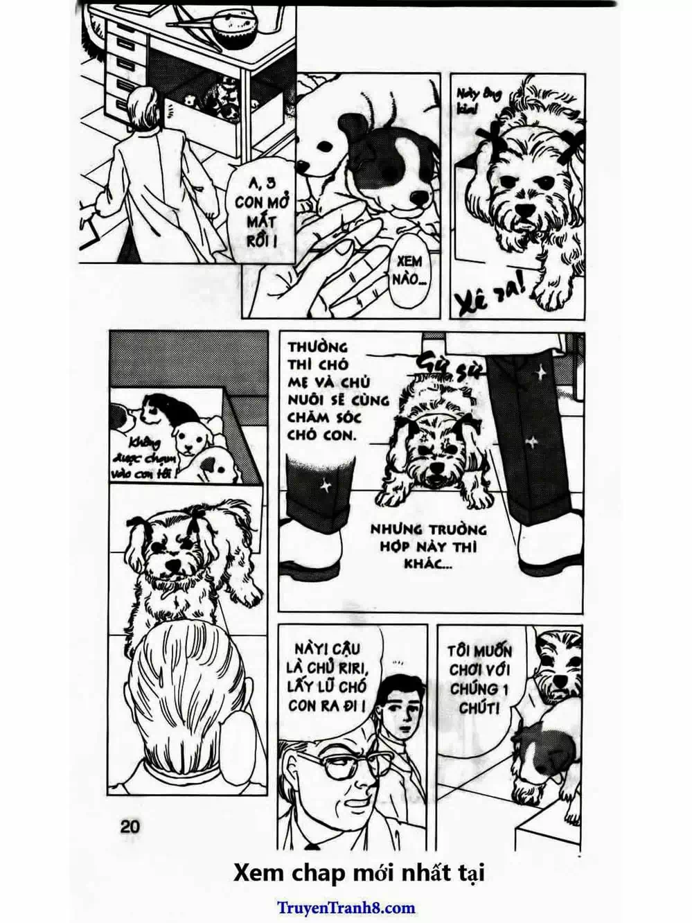 Truyện Tranh Bác Sĩ Thú Y - Doubutsu No Oisha-San trang 4