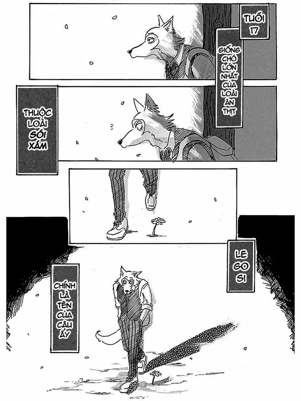 Truyện Tranh Bởi Vì Chúng Ta Đều Là Những Ngôi Sao - Beastars trang 10