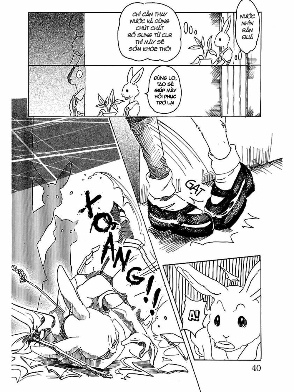 Truyện Tranh Bởi Vì Chúng Ta Đều Là Những Ngôi Sao - Beastars trang 10