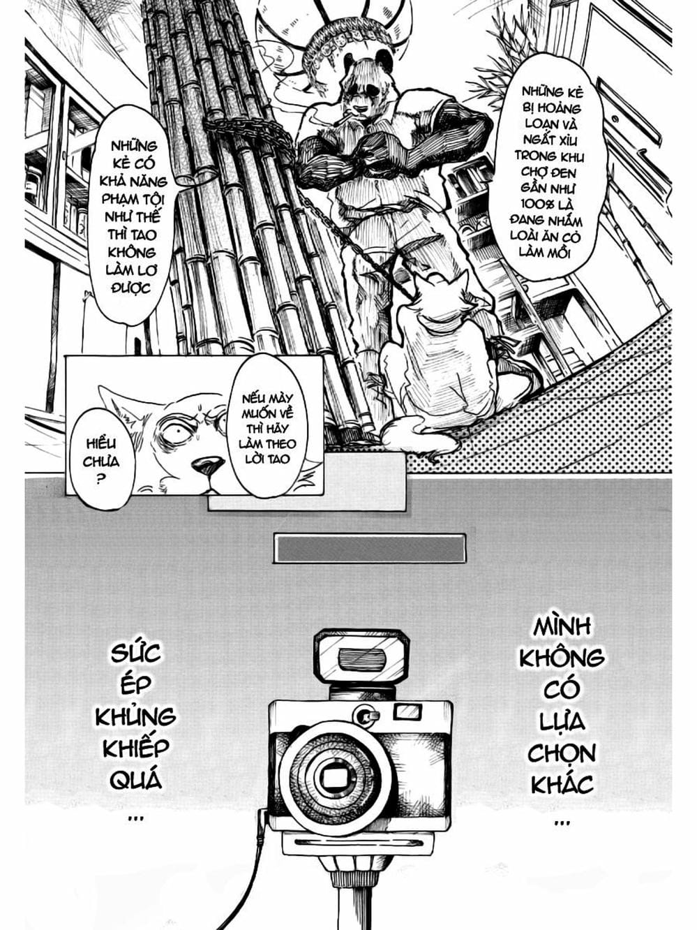 Truyện Tranh Bởi Vì Chúng Ta Đều Là Những Ngôi Sao - Beastars trang 10