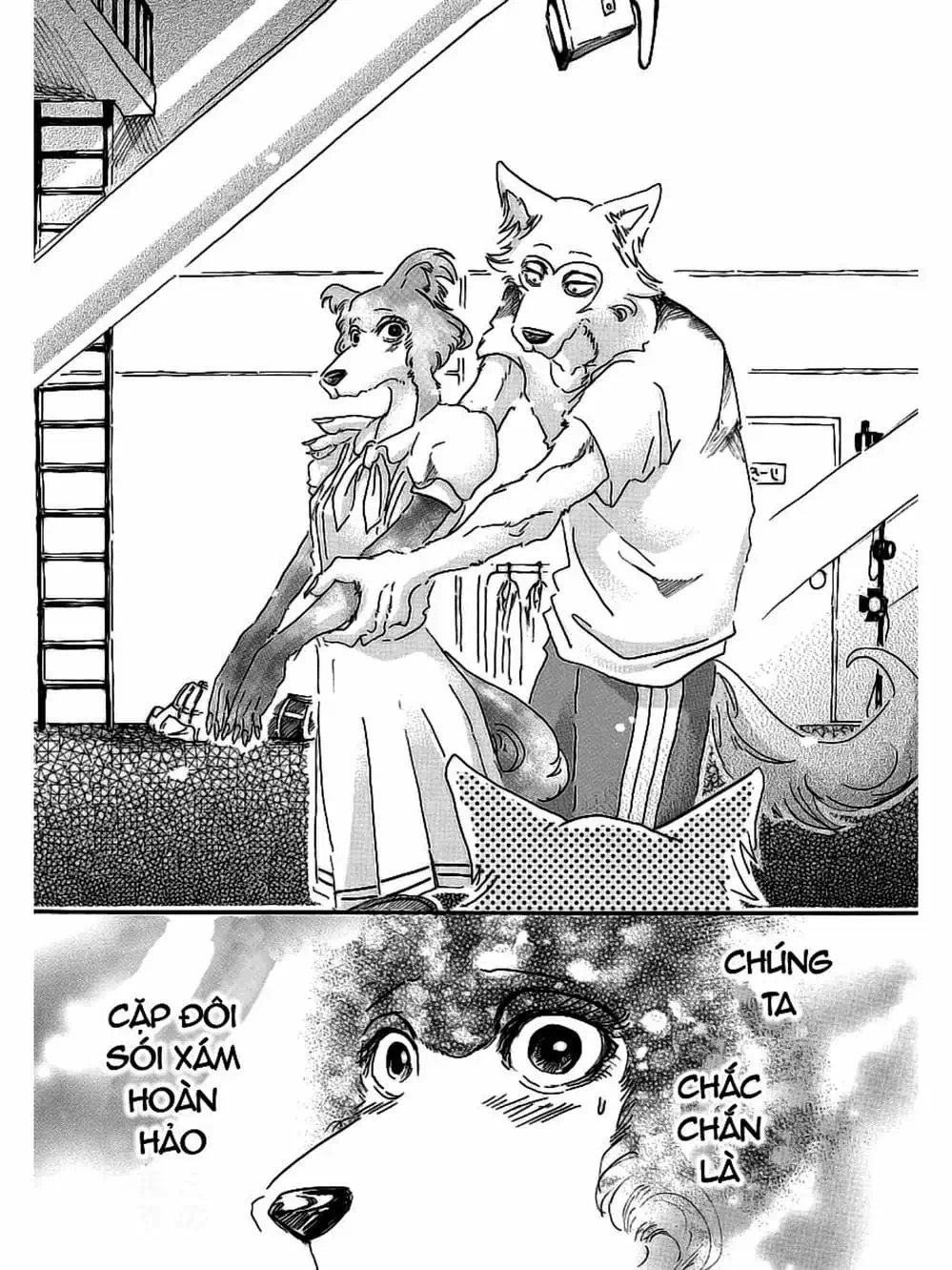 Truyện Tranh Bởi Vì Chúng Ta Đều Là Những Ngôi Sao - Beastars trang 10