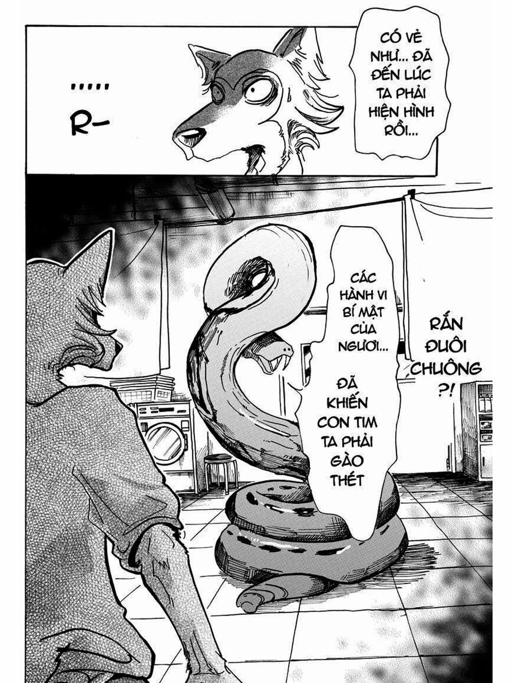 Truyện Tranh Bởi Vì Chúng Ta Đều Là Những Ngôi Sao - Beastars trang 10