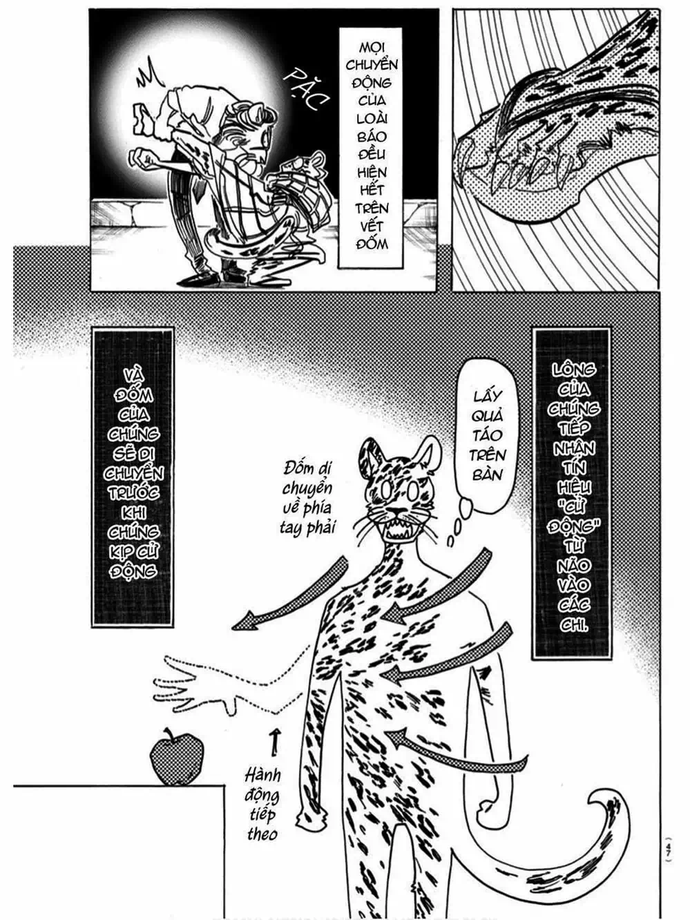 Truyện Tranh Bởi Vì Chúng Ta Đều Là Những Ngôi Sao - Beastars trang 10