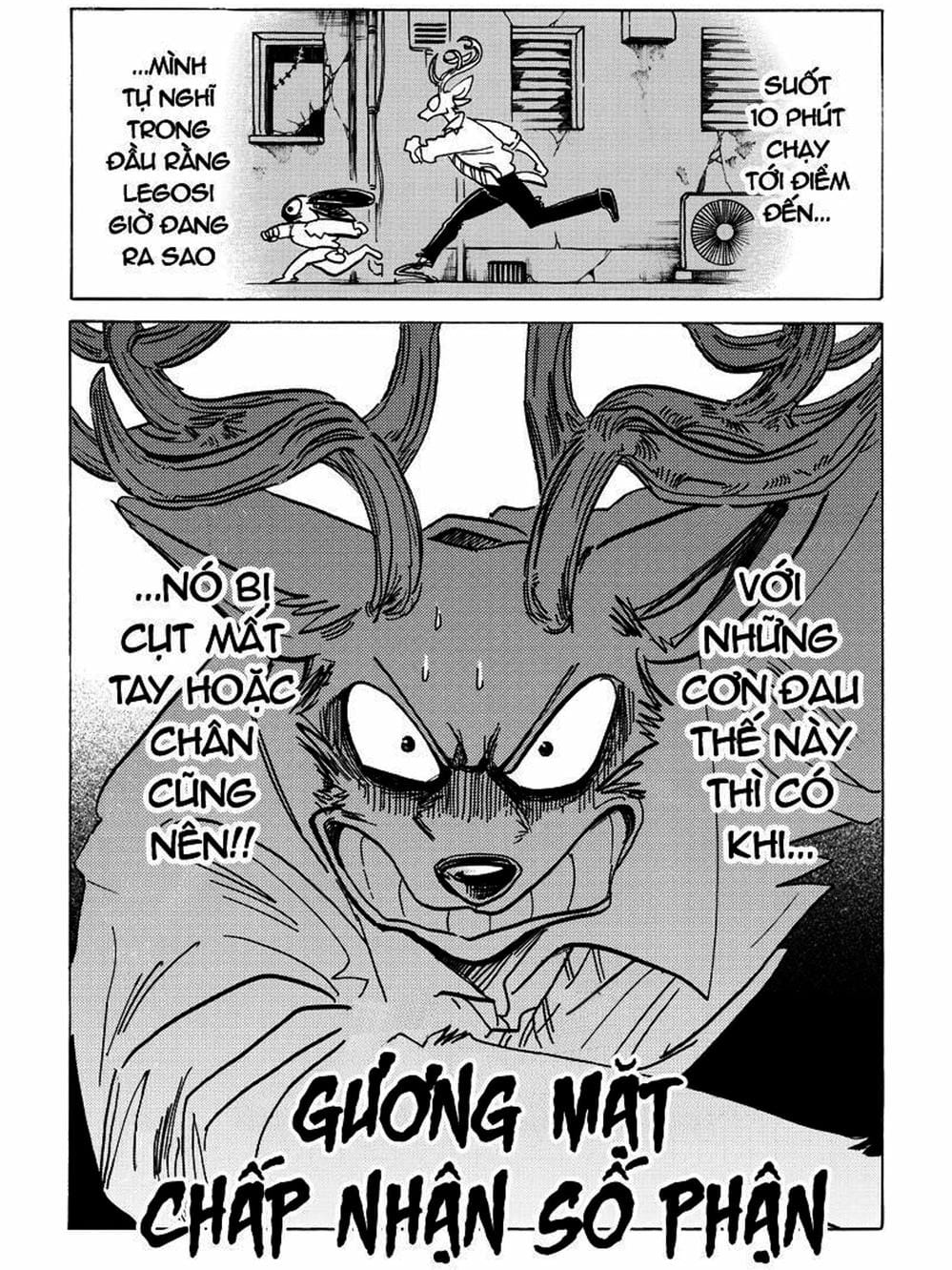 Truyện Tranh Bởi Vì Chúng Ta Đều Là Những Ngôi Sao - Beastars trang 10