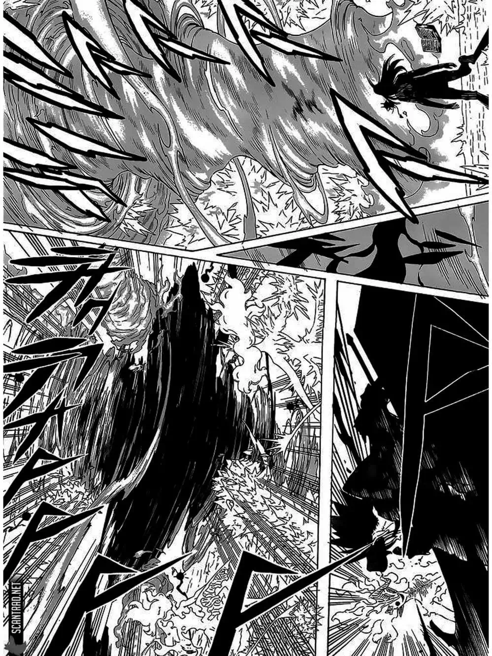 Truyện Tranh Pháp Sư Không Phép Thuật - Black Clover trang 5