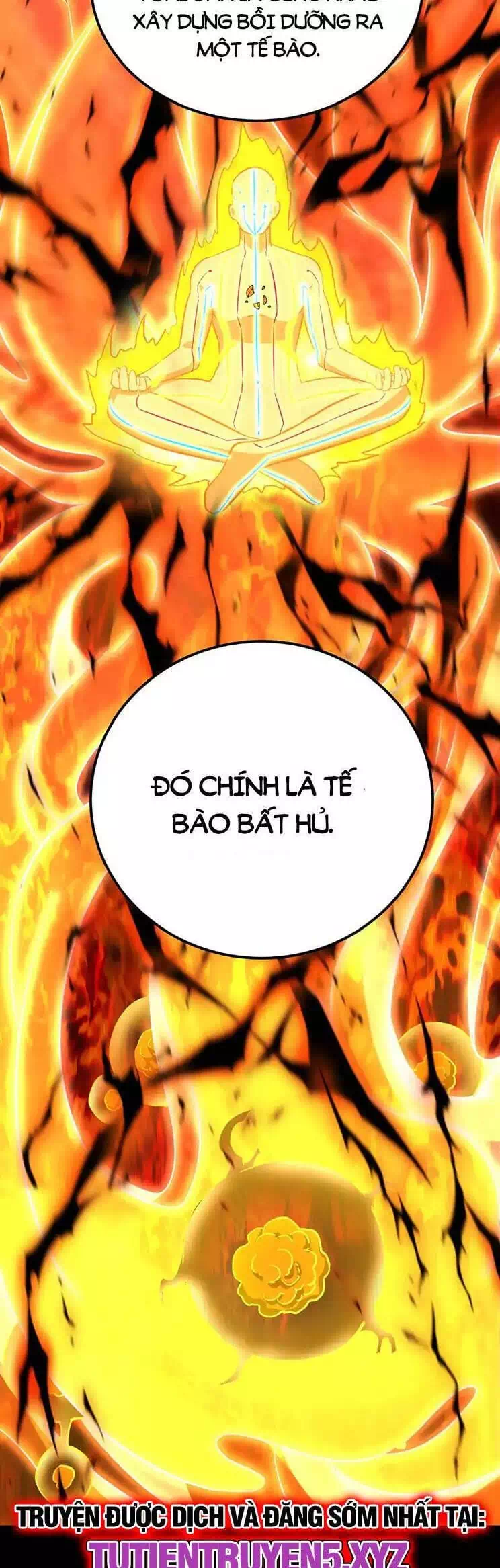 Truyện Tranh Cao Võ Hạ Cánh Đến Một Vạn Năm Sau trang 6