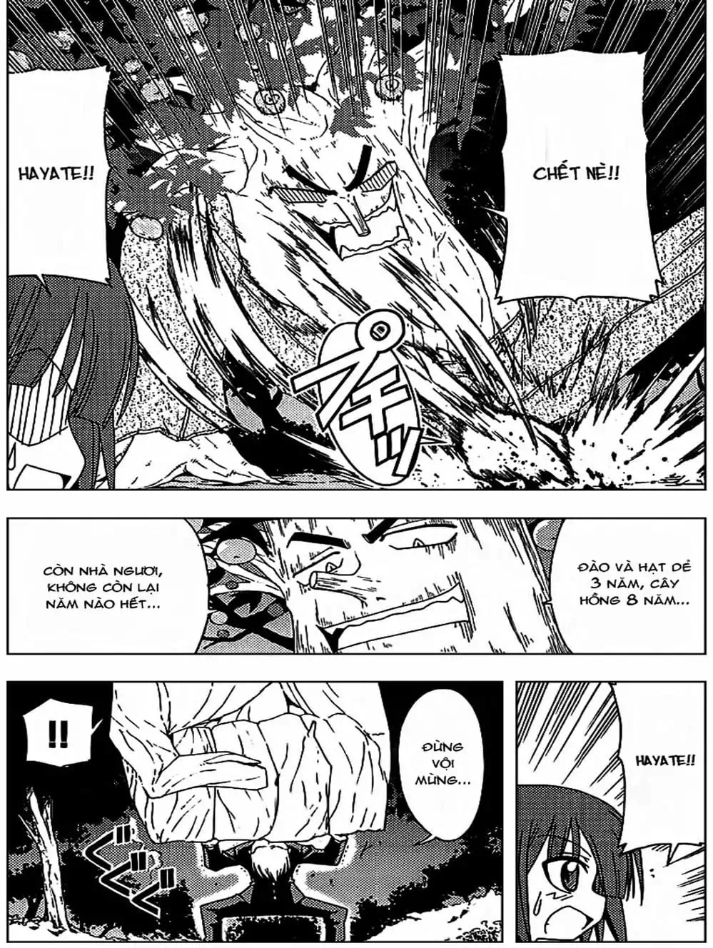 Truyện Tranh Chàng Quản Gia - Hayate No Gotoku trang 4