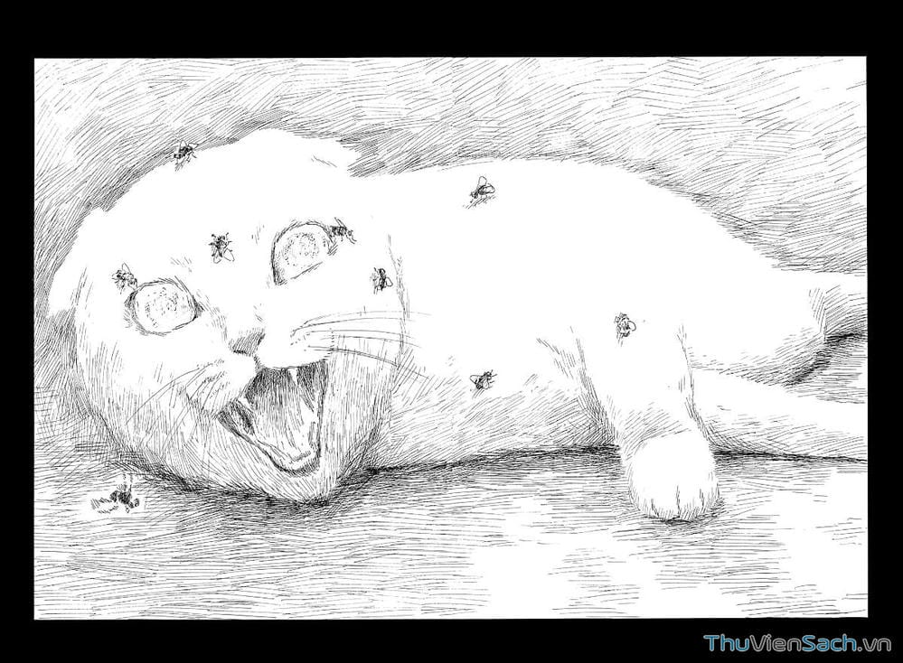 Truyện Tranh Vệt Máu Bên Đường - Chi No Wadachi trang 4