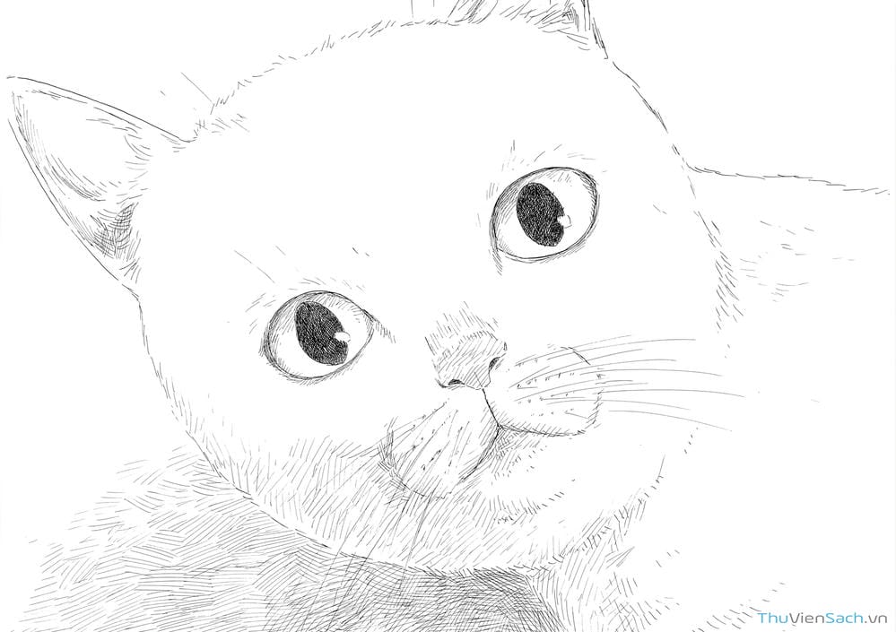 Truyện Tranh Vệt Máu Bên Đường - Chi No Wadachi trang 4