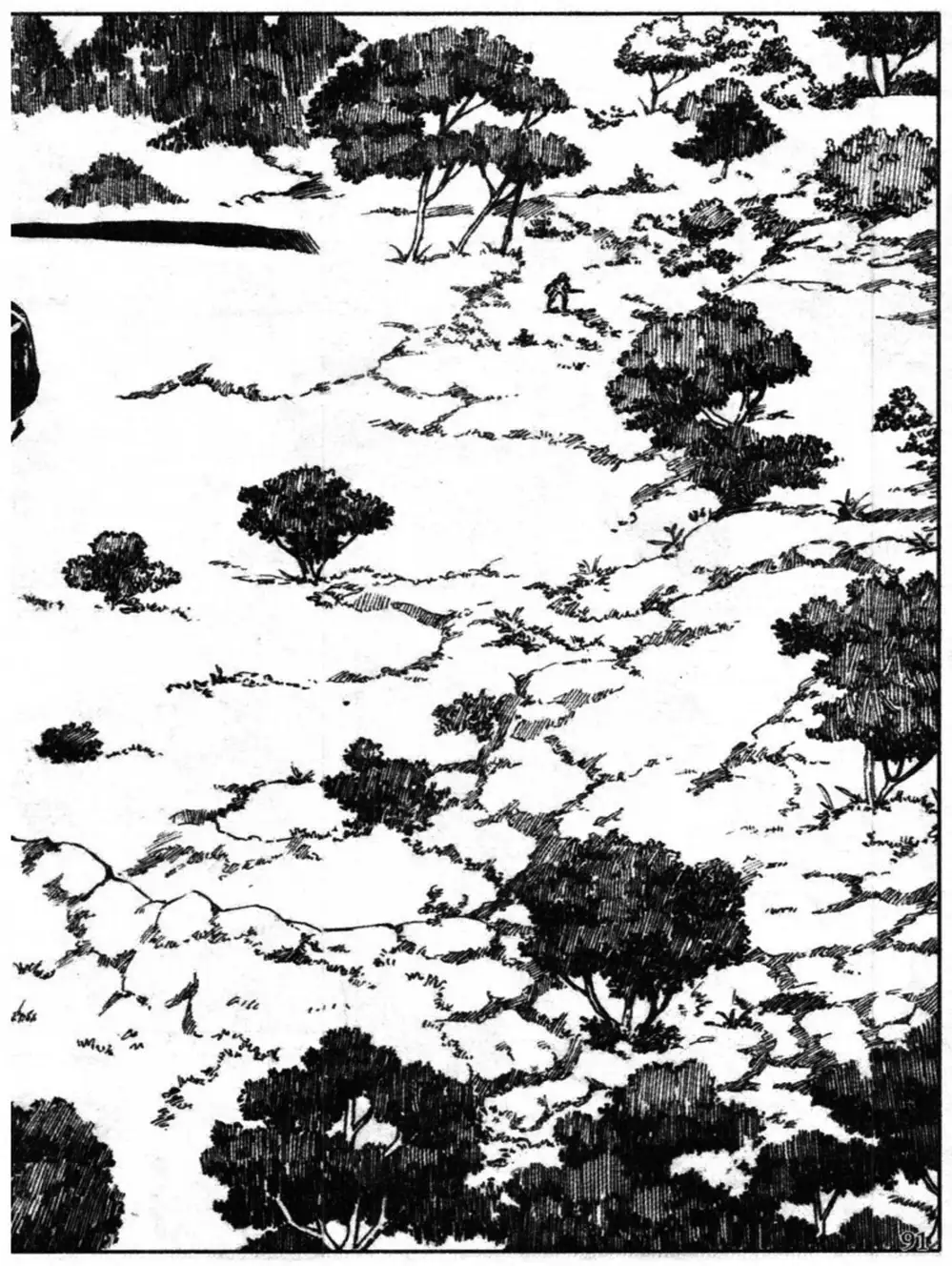 Truyện Tranh Truyện Tranh Chiếc Lược Ngà trang 2