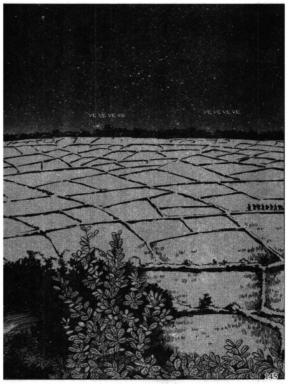 Truyện Tranh Truyện Tranh Chiếc Lược Ngà trang 2