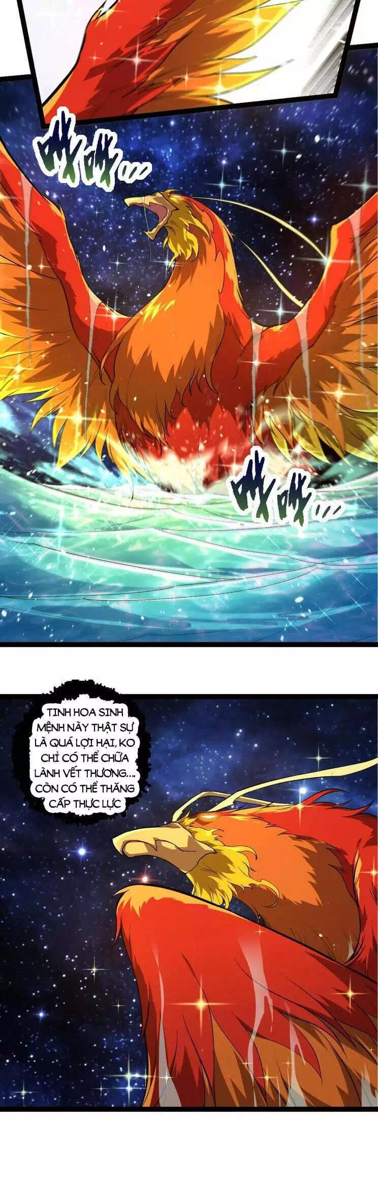 Truyện Tranh Chuyển Sinh Thành Liễu Đột Biến trang 9